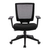 RaDEWAY Ergonomic Mesh Task Chair