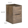 WOOD FILE CABINET 2 DRAWERS VERTICAL FILLING CABINET FOR LETTER UNDER DESK FOR HOME OFFICE