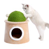 Stool Design Cactus Cat Cave House with Sisal Scratching Post and sisal ball for cat kittens Green