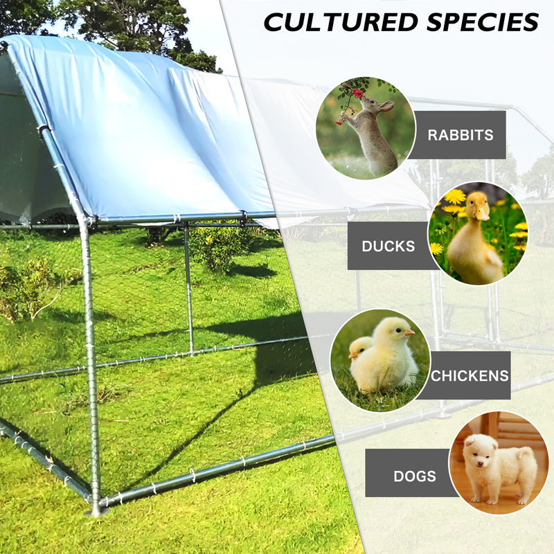 Metal Chicken Coop Poultry Cage Rabbits Habitat Cage - Image 4