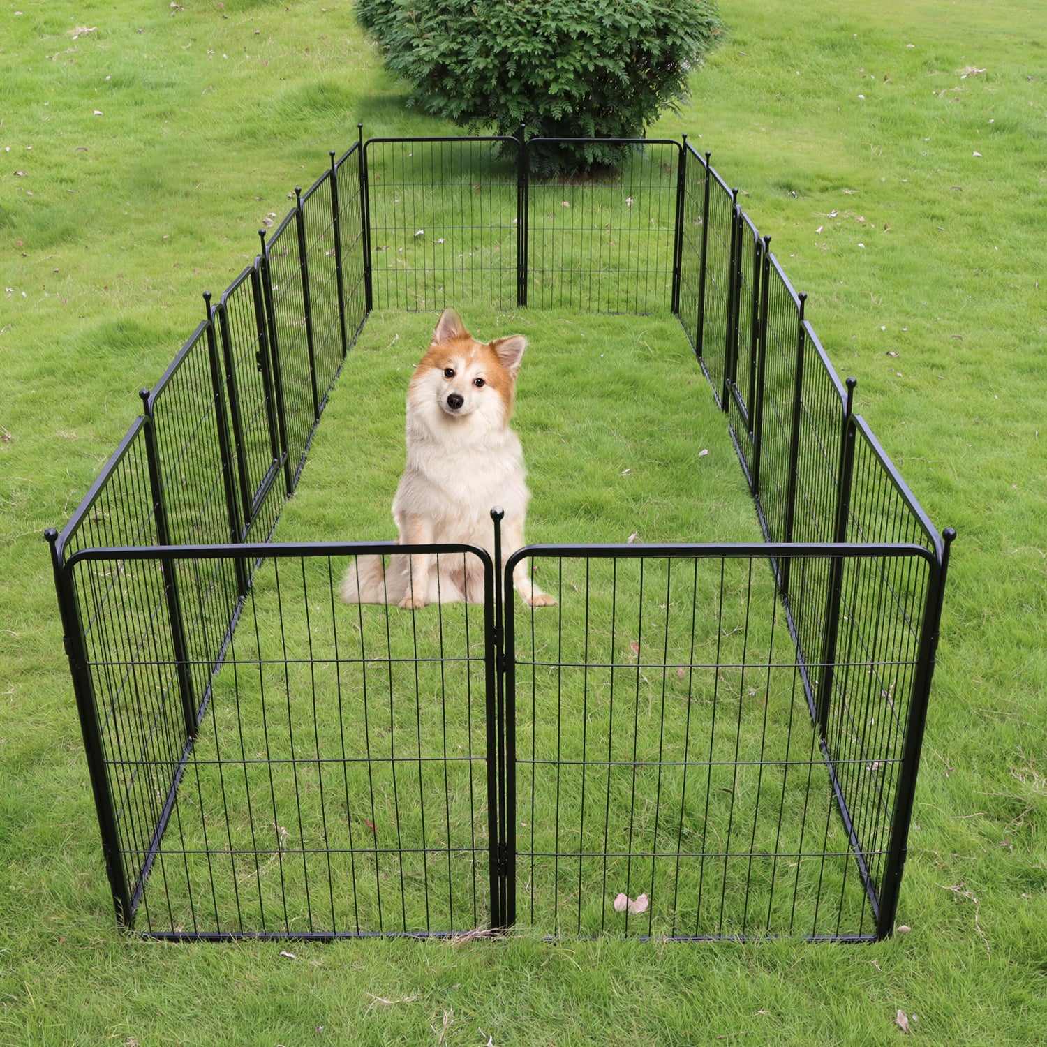 Dog Playpen Puppy Playpen for Medium Small Dogs Outdoor Pet Playpen 16 Panels Exercise Pen 32 inch Metal Indoor Dog Fence 2 Doors