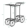 6 Tiers Garden Cart Stand & Flower Pot Plant Holder Display Rack