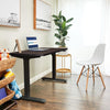 Height Adjustable Whole Piece Electric Standing Desk