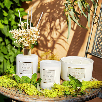 Cocorrína Mossy Pine Scented Large Candle with 4-Wick 100% Soy Wax Up to 50 hrs Strong Scented Aromatherapy Candle for Home